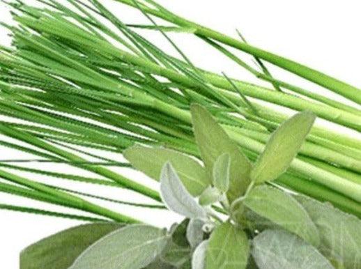 Buy Online Premium Quality Lemongrass & Sage - Gateway Candle