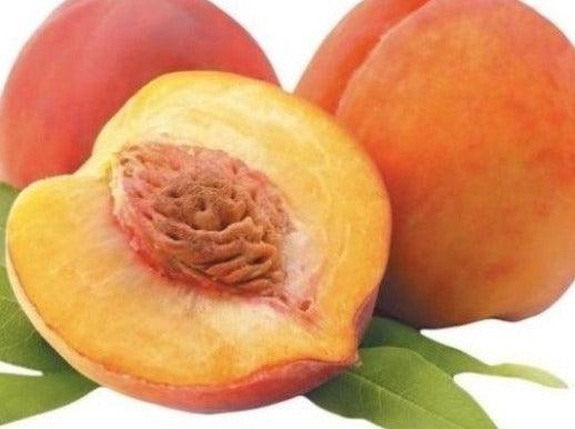 Buy Online Premium Quality Peach - Gateway Candle