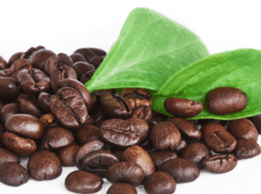 Buy Online Premium Quality Bux Roasted Coffee - Gateway Candle