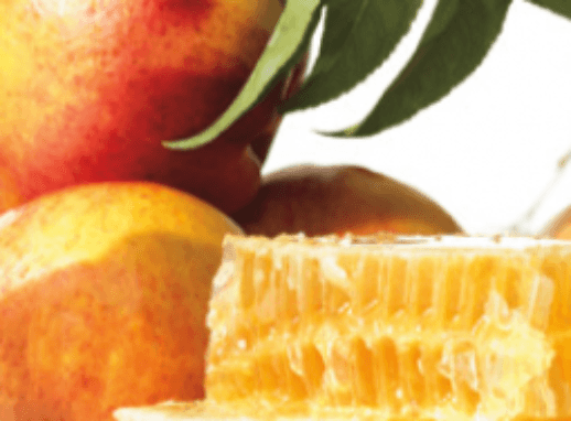 Buy Online Premium Quality NECTARINE BLOSSOM & HONEY by Jo Malone - Gateway Candle